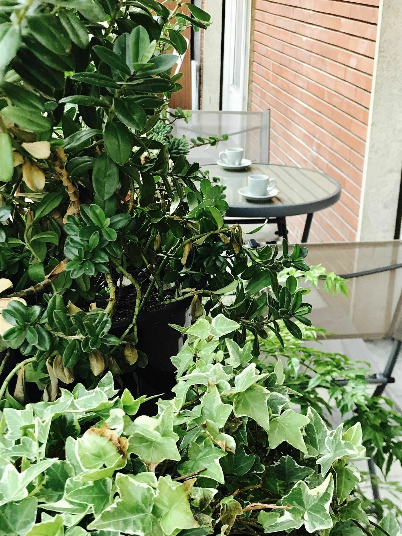 Pardis Guest House Rome Luaran gambar